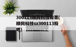 300113顺网科技股票(顺网科技sz300113股吧)
